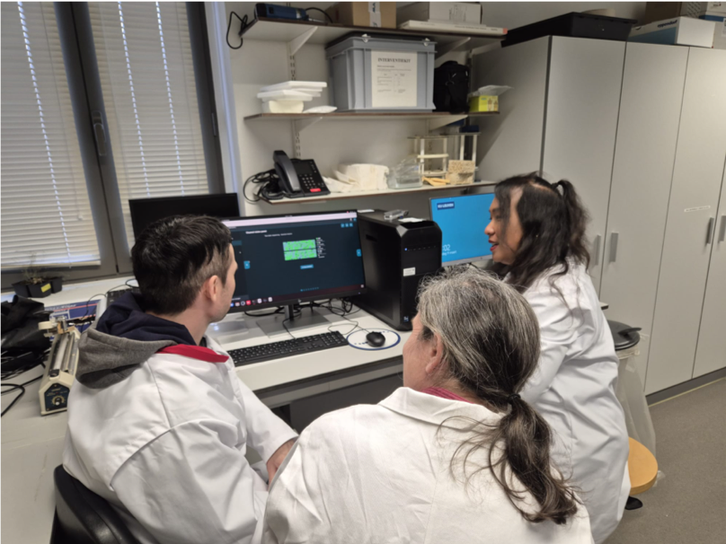 Researchers performing long-read sequencing of tomato leaf curl New Delhi virus